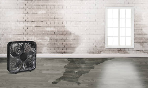 Best Water damage restoration insurance claims  in Mooreland, OK