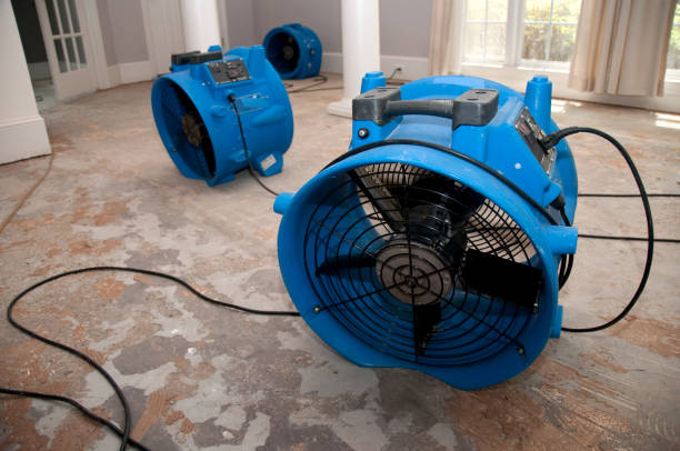 Water damage restoration experts in Mooreland, OK